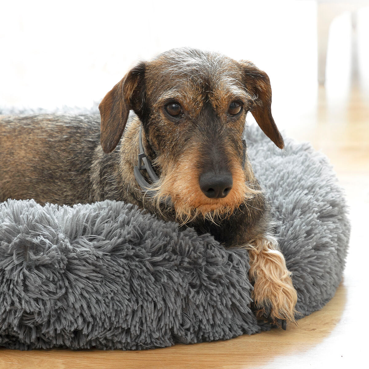 Anti-stress Pet Bed Bepess InnovaGoods Ø 60 cm